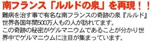 【市場最安】ゲルマニウム温浴 トリプル シェイプストーン