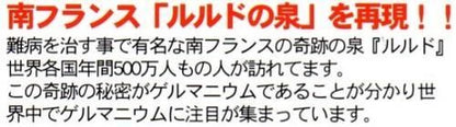 【市場最安】ゲルマニウム温浴 トリプル シェイプストーン