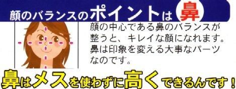 【市場最安】モテ鼻メイク ノーズアップ